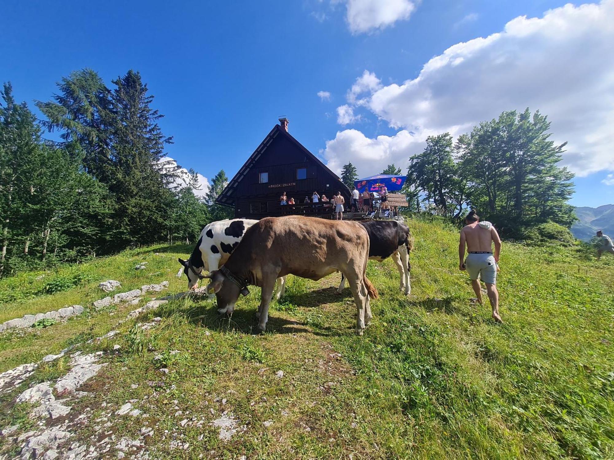 Chalet Burja At Vogel Mountain - Cable Car Access Or Hiking - Not Reachable With Car Bohinj Zewnętrze zdjęcie